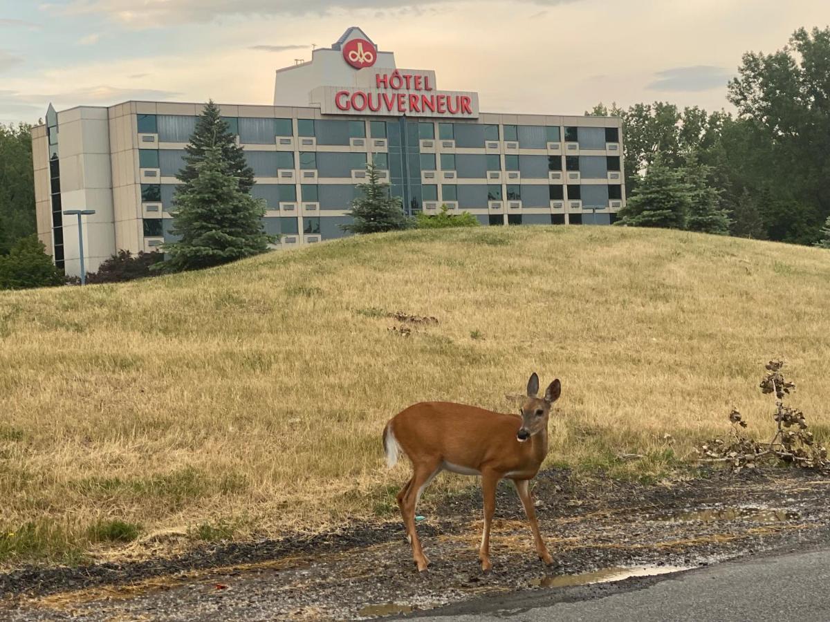Hotels Gouverneur Montreal - Ile Charron Boucherville Ngoại thất bức ảnh